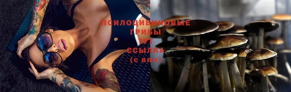 не бодяженный Лихославль