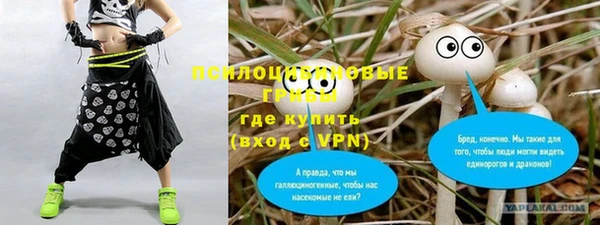 а пвп мука Липки
