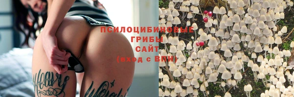 сатива Лагань