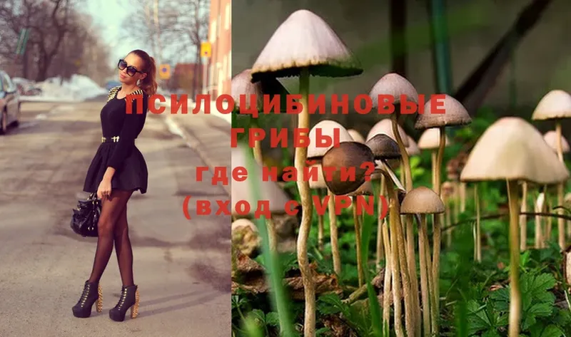 купить  цена  Нестеров  Галлюциногенные грибы Magic Shrooms 