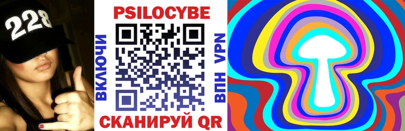 где найти KRAKEN сайт Псилоцибиновые грибы прущие грибы Нестеров